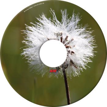 PUSTEBLUME